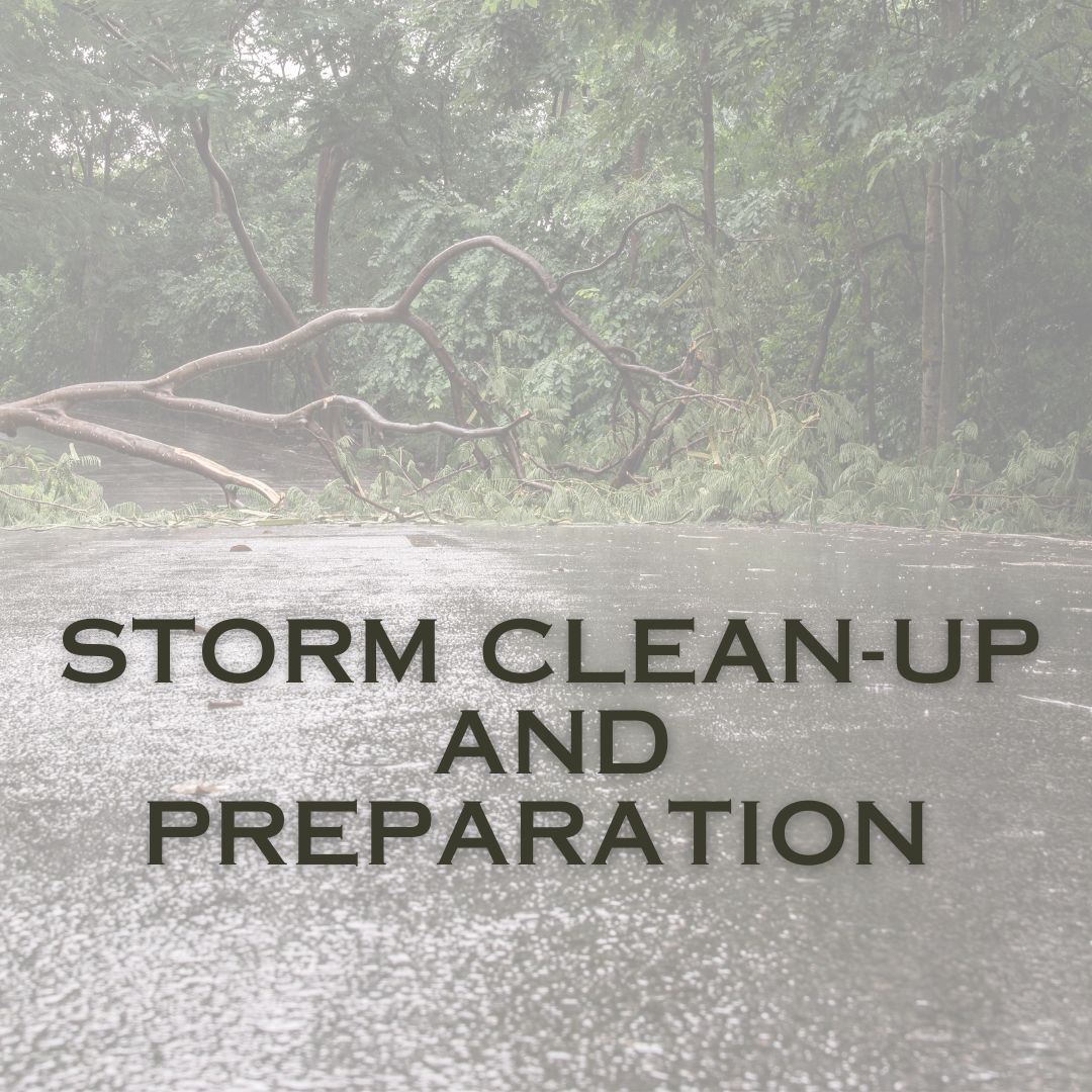 Storm Cleanup 640
