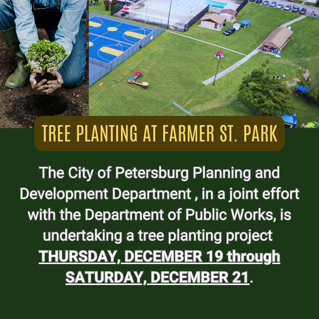 Farmer St Tree Planting 640