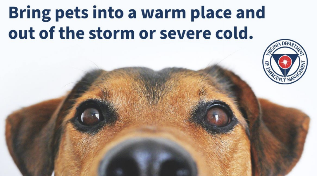 Screen Shot 2021-02-12 at 7.28.05 PM